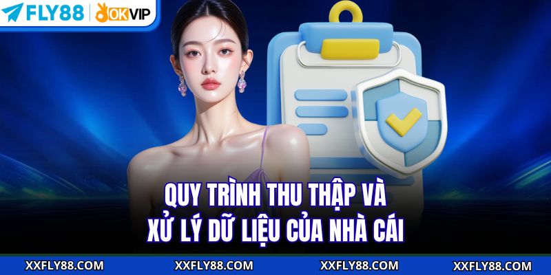 Quy trình thu thập và xử lý dữ liệu của nhà cái